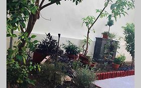 Modern Hospitality, With Private Garden, Athens