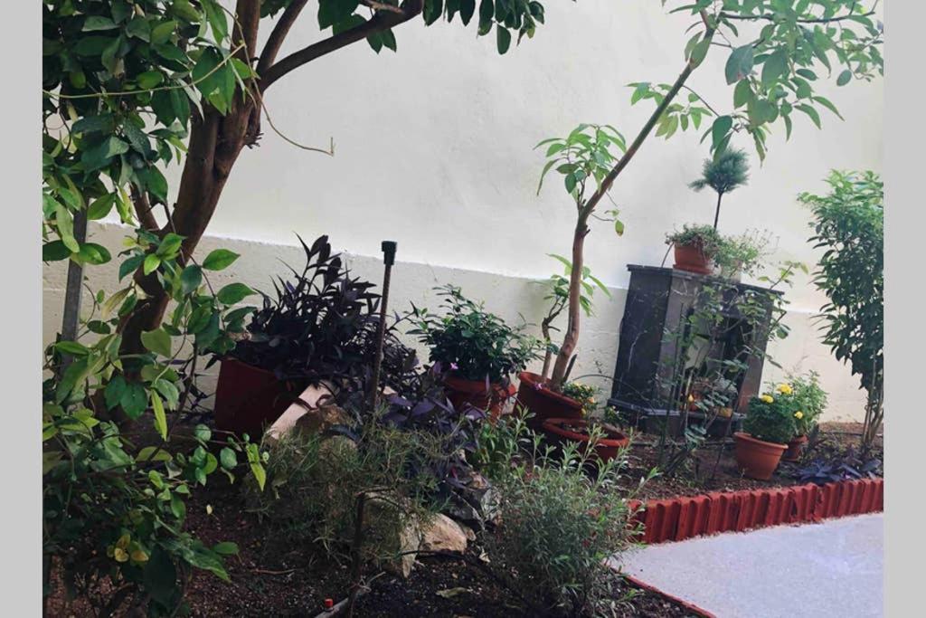 Modern Hospitality, With Private Garden, Athens Διαμέρισμα Εξωτερικό φωτογραφία